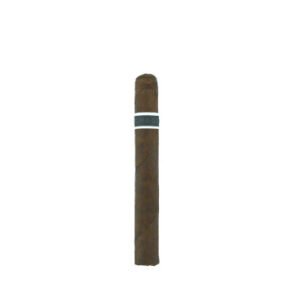 RoMa Craft CroMagnon Anthropology