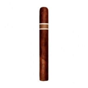 RoMa Craft CroMagnon Aquitaine Anthropology