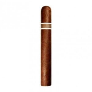 RoMa Craft CroMagnon Aquitaine Cranium