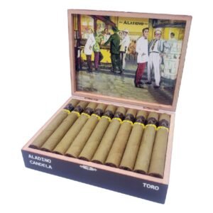 Aladino Toro Candela