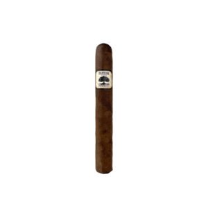 Foundation Charter Oak Connecticut Broadleaf Toro