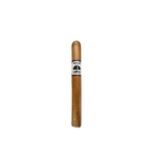 Foundation Charter Oak Shade Petit Corona