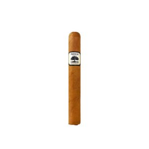 Foundation Charter Oak Connecticut Shade Toro