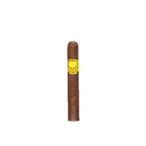 Asylum Split Personality Robusto