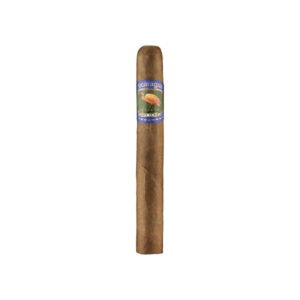 Ibis Nicaragua Toro
